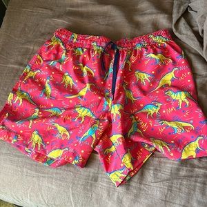 Dino swim trunks by chubbies.